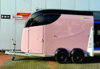 Bücker Trailer Careliner L, Pferdeanhänger, 2500 kg, sofort verfügbar Nordrhein-Westfalen - Emsdetten Vorschau