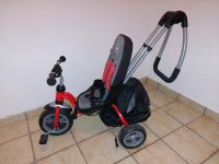 Kinderdreirad Puky Cat S6 Ceety Bayern - Stallwang Vorschau