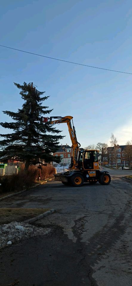 Holzeinschlag Holzrückung Baumfällungen Baumpflege Stubbenfräsen in Zwoenitz