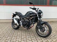 Suzuki SV650*SV*650*Modell 2024* 4 Jahre Garantie gratis* 1x Bayern - Neustadt a.d.Donau Vorschau