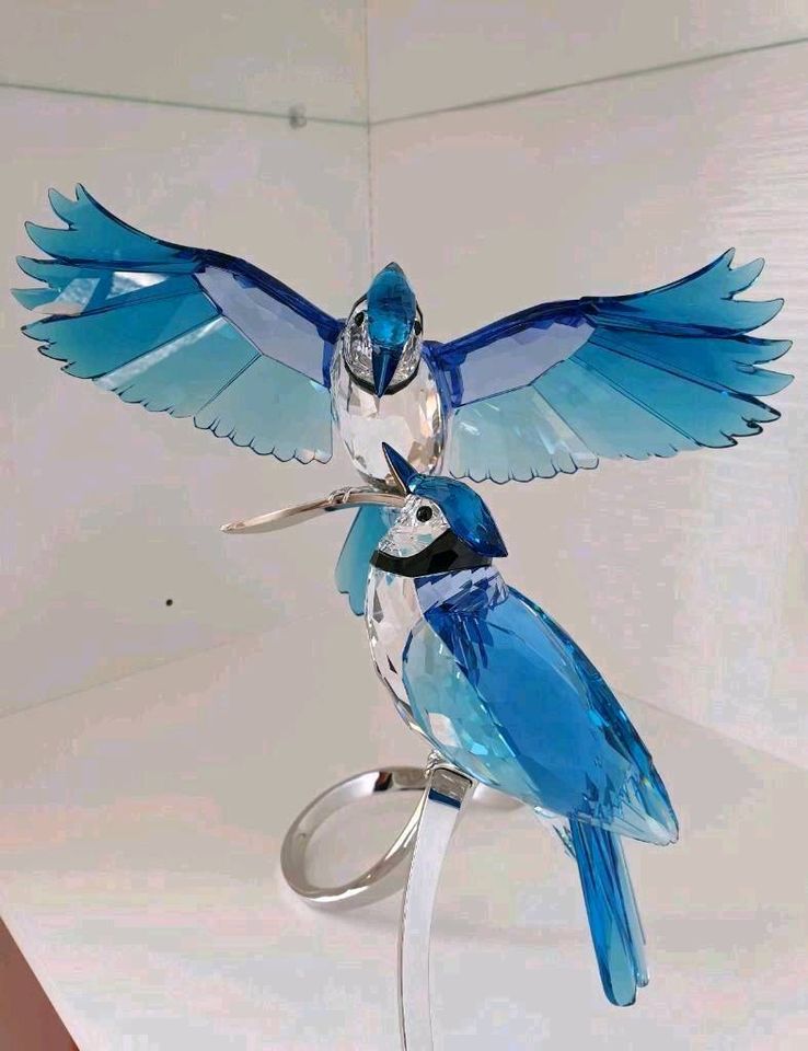 Swarovski Figur Blauhäher Vogel Kristallfigur Dekofigur Sammler in Hückelhoven