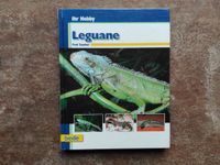 Taucher, Fred Leguane Reptilien Hobby Pflege Ernährung Hannover - Mitte Vorschau