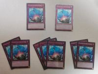 Yugioh Zwangsevakuierungsgerät RA01-DE069 versch. Rarities QCR Nordrhein-Westfalen - Düren Vorschau