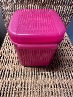 Tupperware Bellevue Dose 1200 ml Klapp-Deckel pink Niedersachsen - Hemsbünde Vorschau