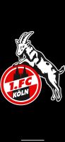 SUCHE 2x Dsuerkarte 1. FC Köln Rheinland-Pfalz - Mainz Vorschau