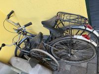 Gazelle Impala / Tournee 28zoll Damen Fahrrad Nordrhein-Westfalen - Heinsberg Vorschau