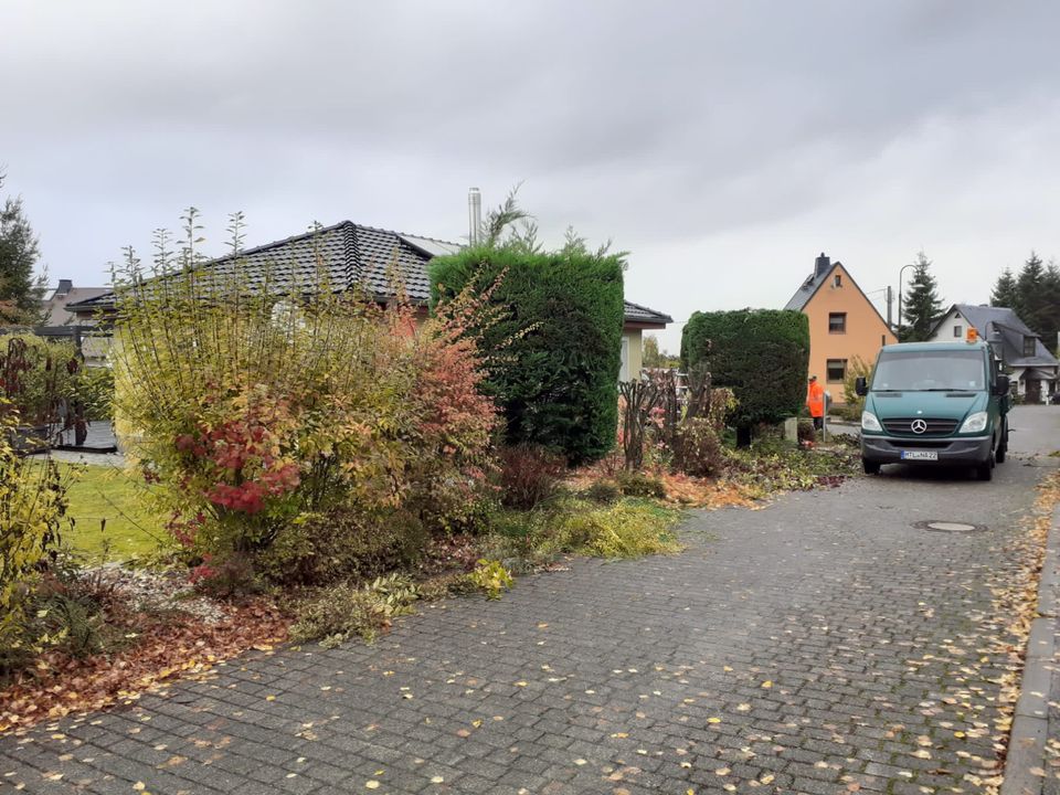 Garten -und Objektpflege, Grundstückspflege, Heckenschnitt in Colditz