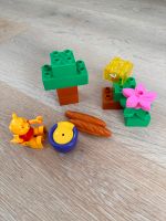 Lego Duplo winnie the pooh 5945 Picknick Kr. München - Ismaning Vorschau