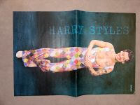 Harry Styles Poster Nordrhein-Westfalen - Detmold Vorschau