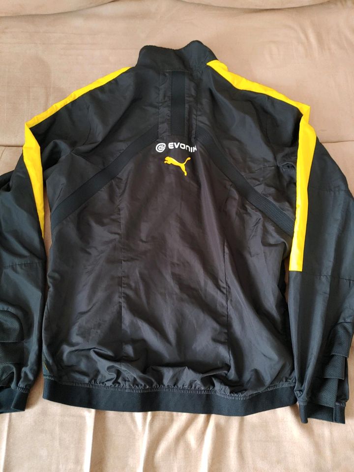 BVB Borussia Dortmund Trainingsjacke Gr L Puma sehr guter Zustand in Heuchelheim