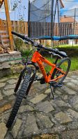 Axcess Stipe 24'' Kinderfahrrad Mountainbike Rheinland-Pfalz - Rheinzabern Vorschau