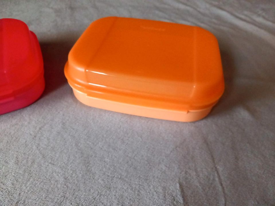 Tupperware / Tupper Naschkätzchen ovp Dose neu klappdose 1,1l rot in Kerken