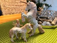 Schleich Bayala Einhörner mit Elfe Hessen - Reichelsheim (Odenwald) Vorschau