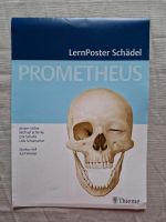 Lern Poster Prometheus Schädel Dresden - Gruna Vorschau