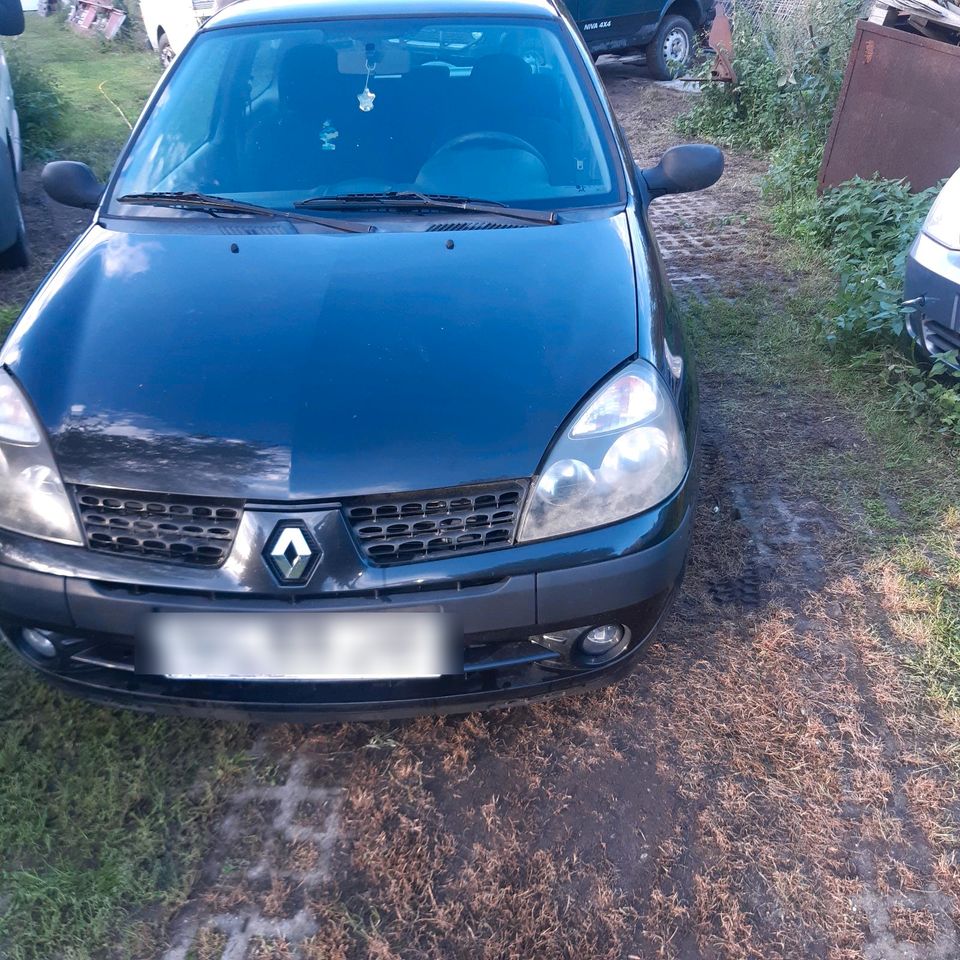 Renault Clio 1,5 dci in Dessau-Roßlau