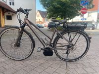 E-bike Stevens 28zoll (45cm) Baden-Württemberg - Teningen Vorschau