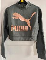 Cooles PUMA Sweatshirt Sachsen - Wurzen Vorschau