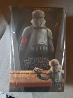 Hot Toys  12 Inch Figur  Transport Trooper  in OVP Rheinland-Pfalz - Asbach Vorschau