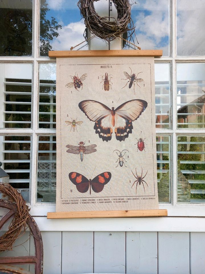 Alt Schautafel Lehrkarte Rollkarte Insekten Poster Leinen Deko in Elmshorn