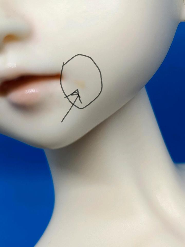 RESERVIERT! BJD MSD 1/4 Customhouse Ai Rena Doll Legit Puppe in Pfinztal