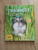 Zwerghamster von Peter Fritzsche Thüringen - Berga/Elster Vorschau