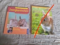 Zwergkaninchen Buch Ratgeber Nordrhein-Westfalen - Steinfurt Vorschau
