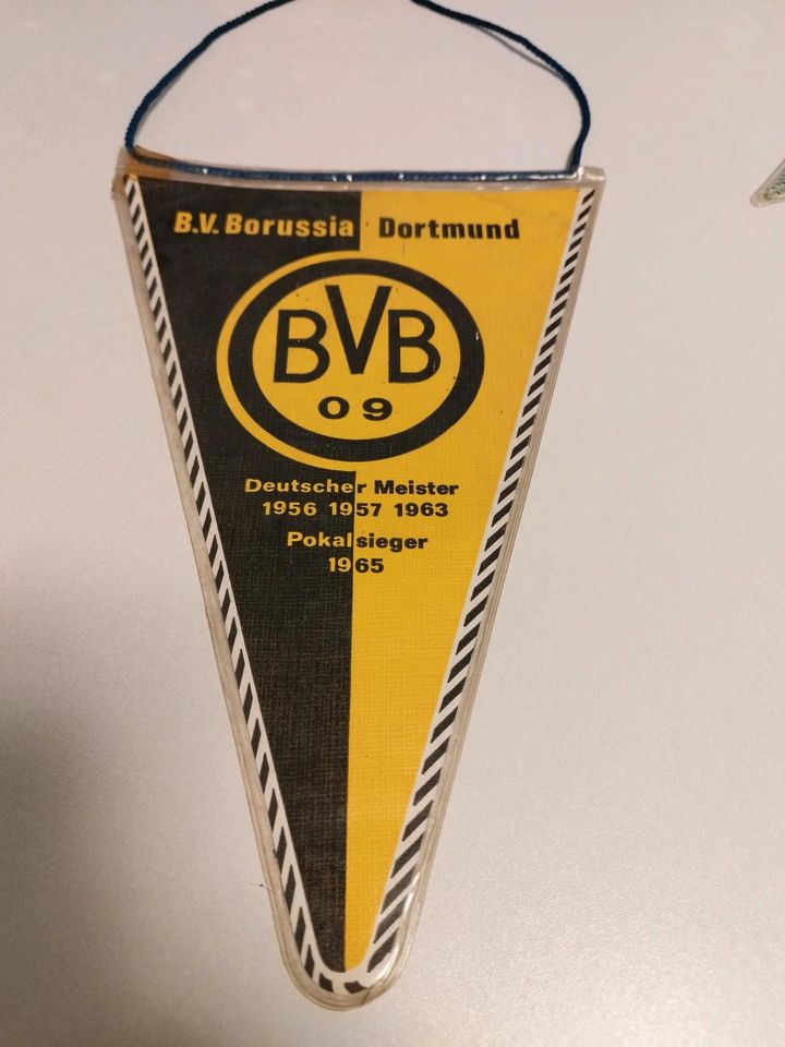 Eintracht Braunschweig Hannover 96 Borussia Dortmund FC Magdeburg in Braubach