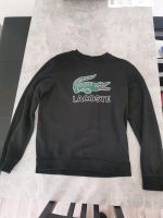 Lacoste Pullover in Größe M Bayern - Ochsenfurt Vorschau