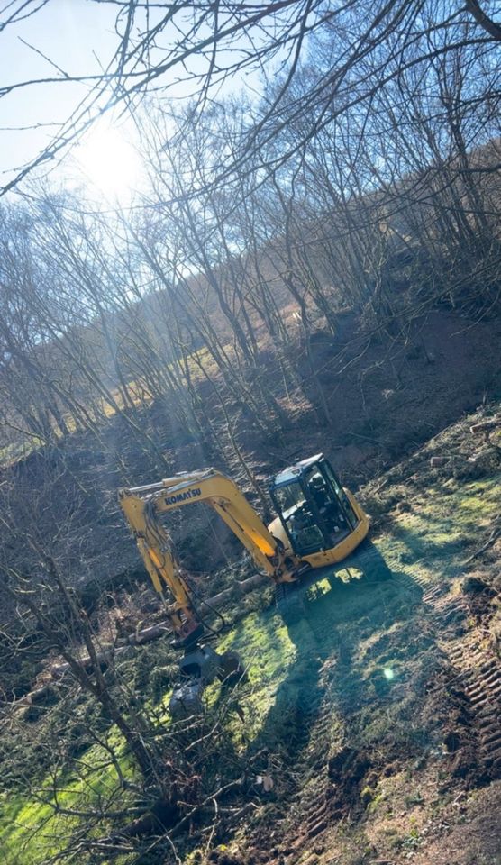 MT Garten-Landschaftspflege,Hausmeisterservice,Gartenarbeit in Binsfeld