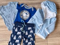 Sterntaler Converse Baby Bekleidung Hose Jacke Body 68/74 TOP Dithmarschen - Heide Vorschau