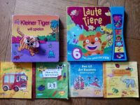Spielzeug Spielsachen Kinderbücher Baby lernen Tiere Pixi Leipzig - Gohlis-Mitte Vorschau