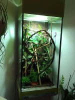 Terrarium vom Terrarienbauer 145 x 60 x 60 Nordrhein-Westfalen - Iserlohn Vorschau