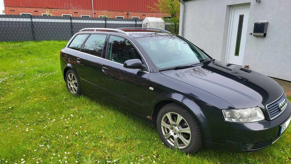 Audi A4 Kombi in Tensfeld