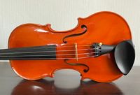 Feine 4/4 Geige Violine neuwertig Top! Sachsen - Auerbach (Vogtland) Vorschau