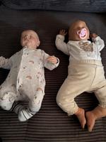 Reeborn-Babys Brandenburg - Schwedt (Oder) Vorschau