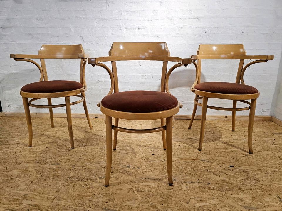 ⭕️ KAFFEEHAUSSTÜHLE BUGHOLZ THONET ART GASTRO STÜHLE in Georgsmarienhütte