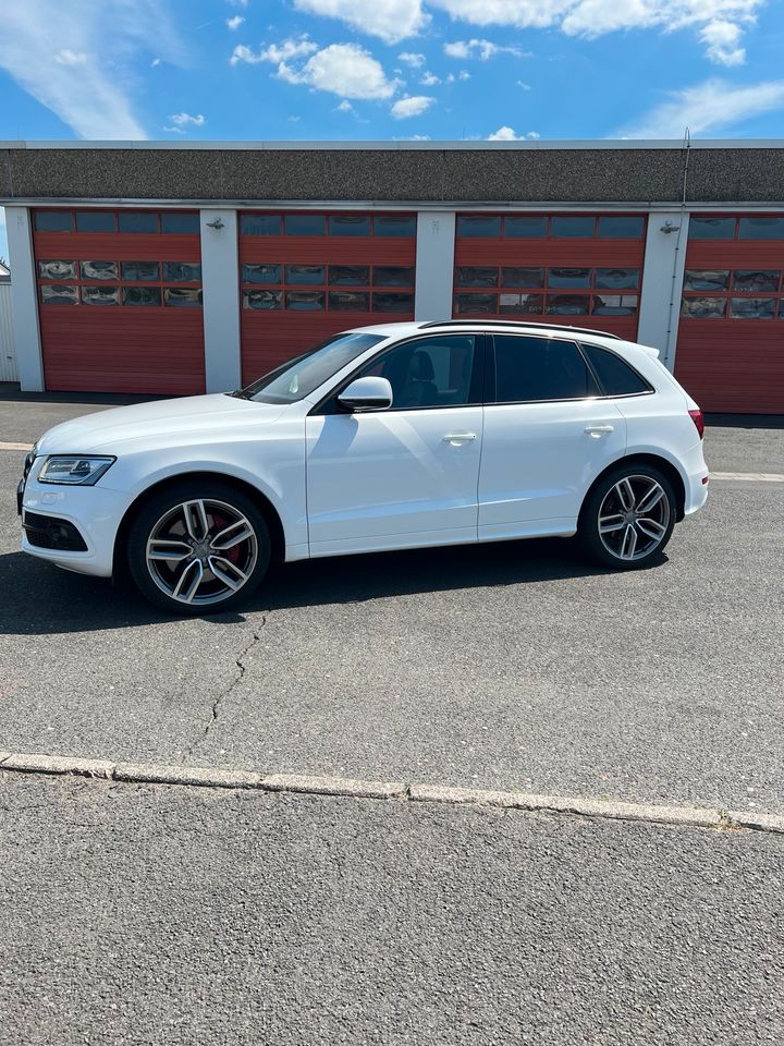 Audi SQ5 3.0 TDI quattro B&O,KEYLESS,21Zoll in Erlensee