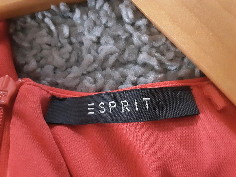 Kleid rot Blazer Beuteltasche 3 Teile Esprit eksept 34 XS in Heidesheim