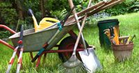 Gartenarbeiten aller Art / Nachbarschaftshilfe Hessen - Bad Homburg Vorschau