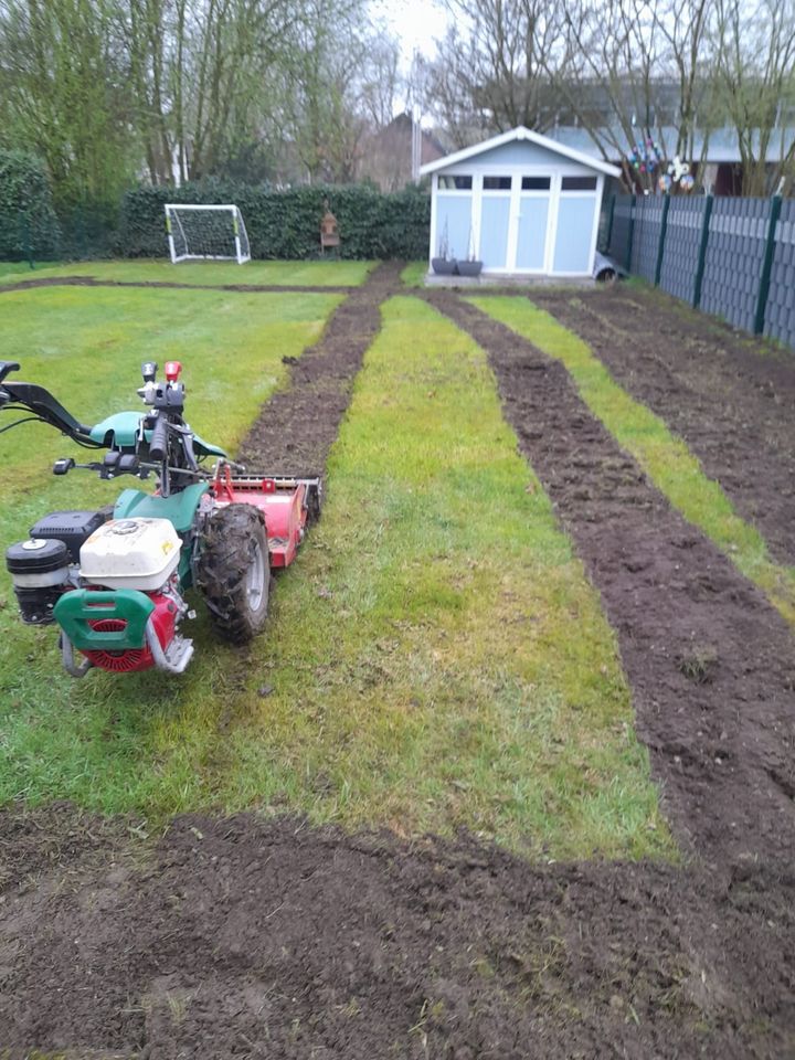 Rollrasen Gartenarbeit Gärtner Heckenschnitt  Umgraben in Essen