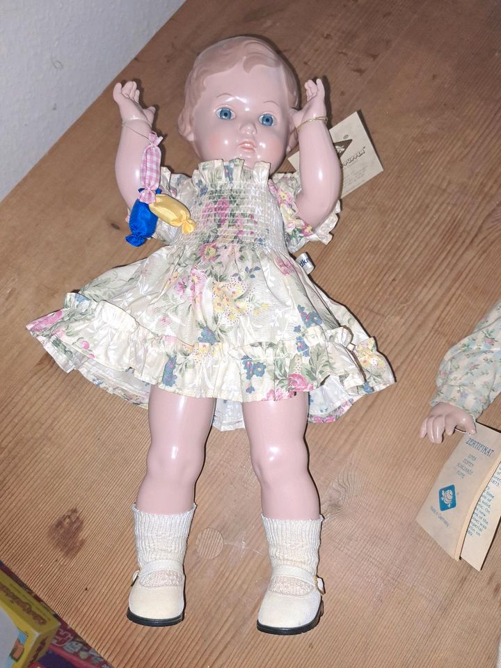 Schildkröt Puppe Erika in Wasenbach