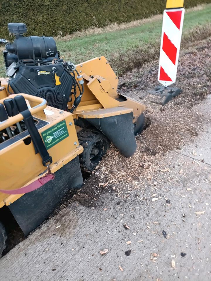 Wurzelfräsen Stubbenfräsen Baumwurzeln entfernen in Ankum