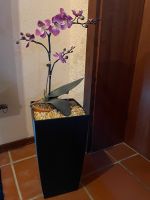 Orchidee Deko Bayern - Burgheim Vorschau