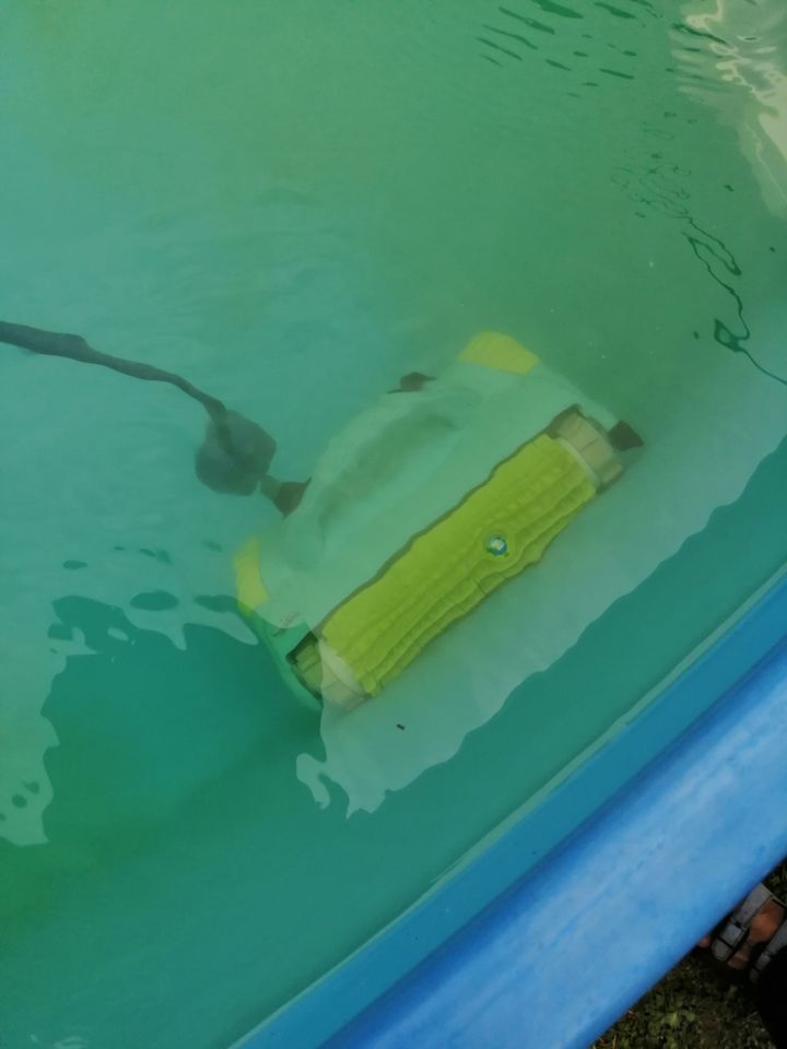 Verkaufe Poolroboter Dolphin Moby Funktionsfähig in Bischofswerda