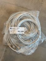 CAT 6 Netzwerkkabel 2m/3m/5m Sachsen - Belgern Vorschau