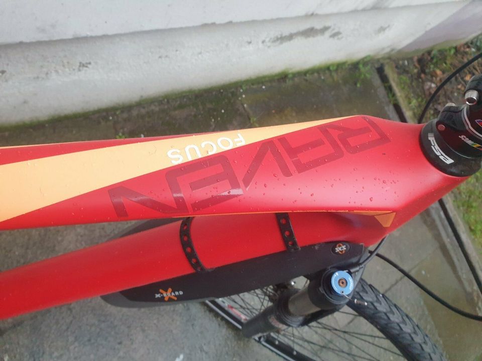 28 Zoll crossrad FOCUS  RAVEN Carbon Top Zustand in Langwedel