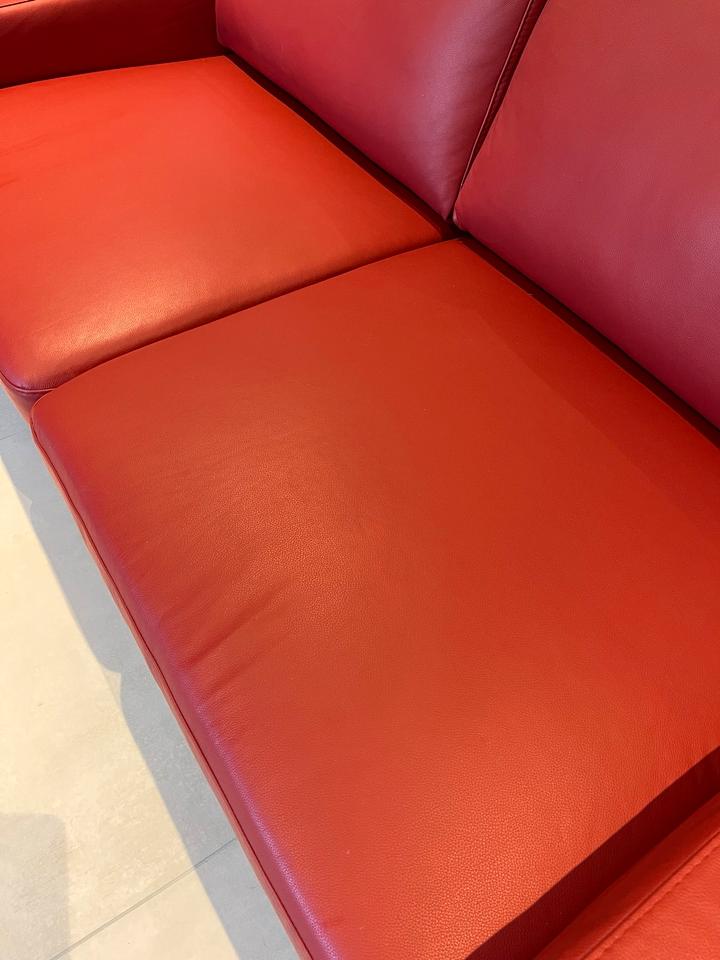 Nappaleder Couch/Sofa Rot Segmüller inkl. Kaufbeleg *Top Zustand* in Münster