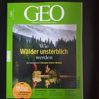 GEO 6 / 23 # ungelesen, wie neu # Wälder Wildnis Schleswig-Holstein - Lübeck Vorschau