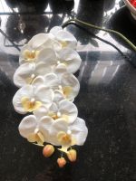XXL weißer Orchideen Zweig Kunstblumen neu Bayern - Dasing Vorschau