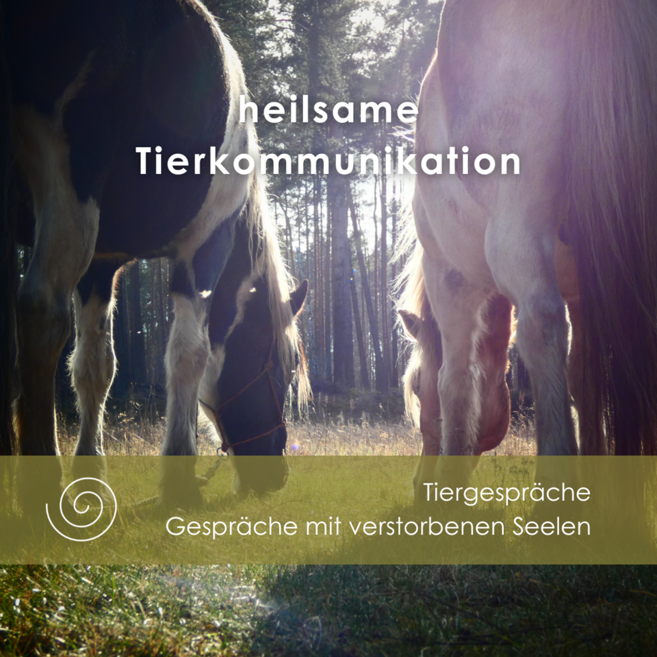 Tierkommunikation, Tiergespräche, Seelengespräche in Boxberg / Oberlausitz